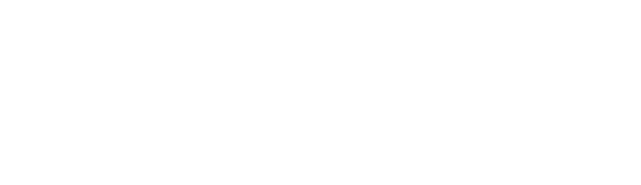 ANQORIA Business Solutions